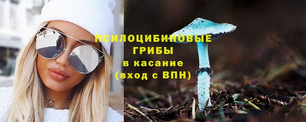 индика Абинск