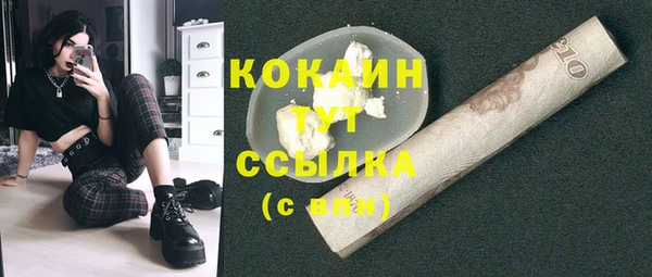 гидра Абаза