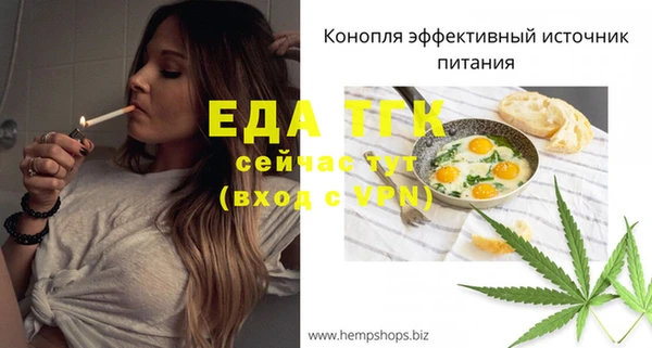 гидра Абаза